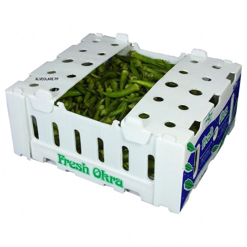 Polypropylene Coroplast Okra Packing Box, Search Okra Box, Okra Packing