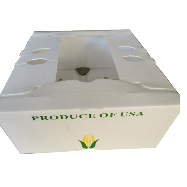 Polypropylene Corrugated Plastic Vegetable Box, Search Vegetable