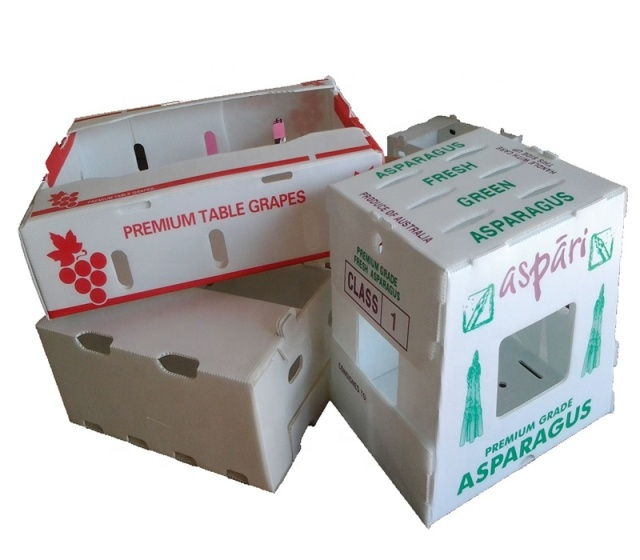 Corrugated Cardboard Vegetable Fruit Transport Fruit Carton Box